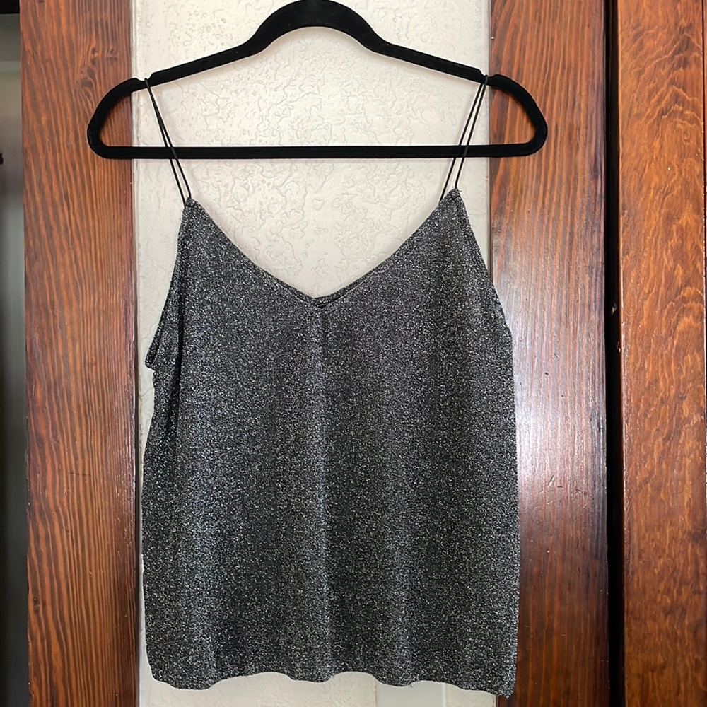 Express Shimmer Top